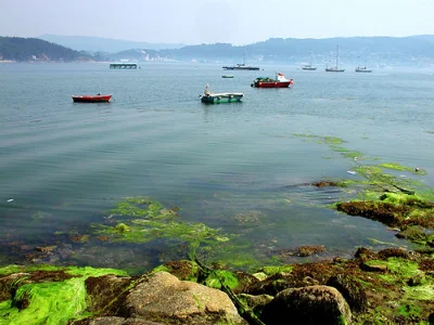 Vista de la costa gallega en verano